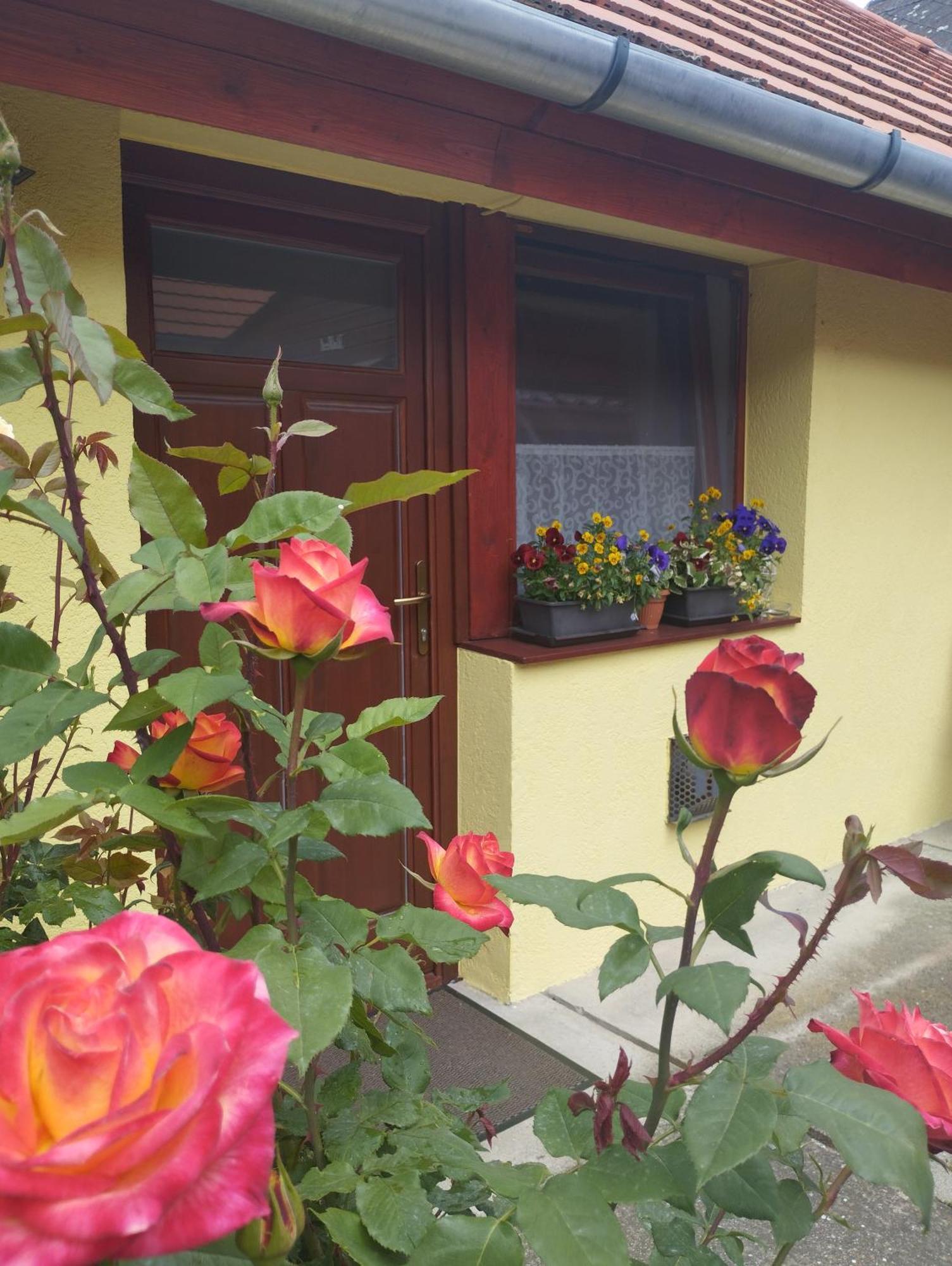 Kis Apartmanhaz Balatonfured Ngoại thất bức ảnh